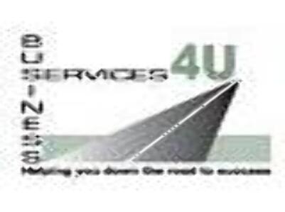 Business Services 4 U LLC