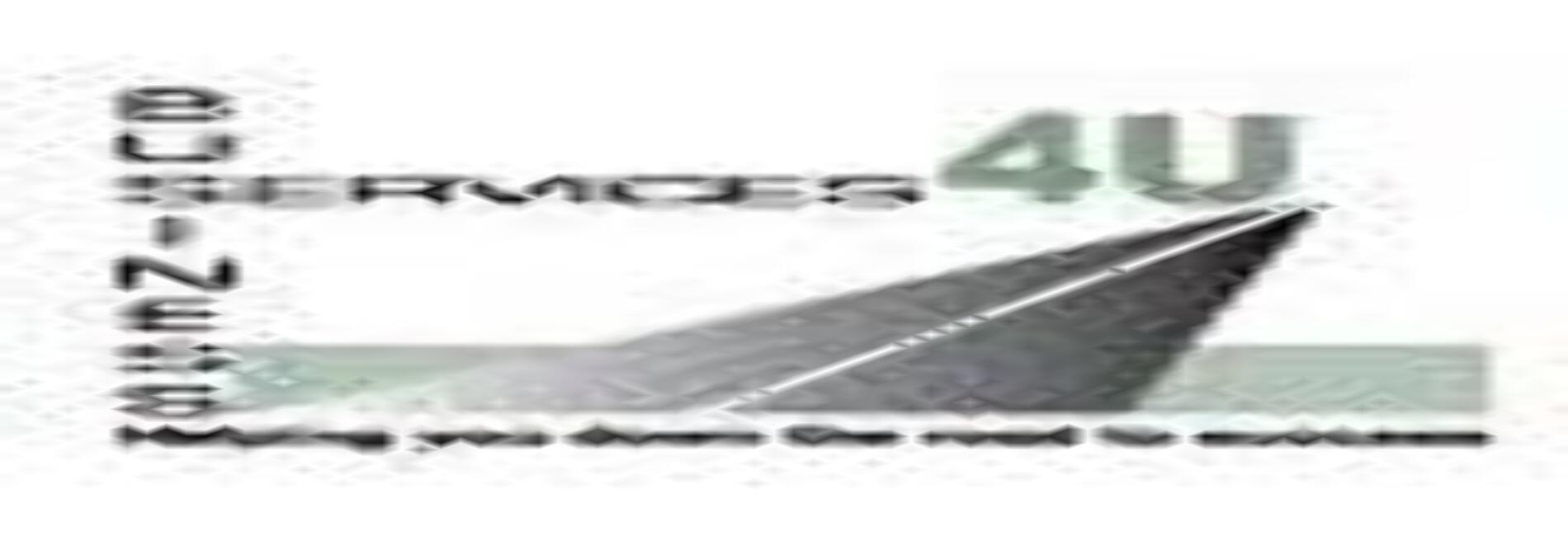 Business Services 4 U LLC