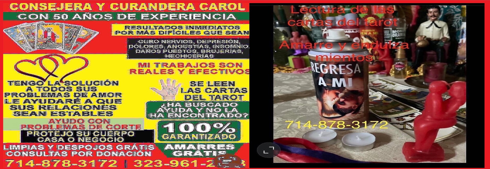 Consejera y Curandera Carol