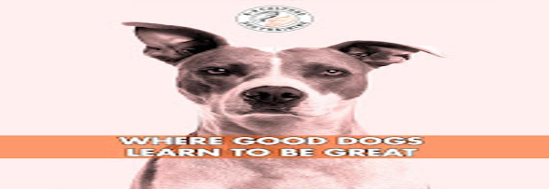 K-9 Culture LLC