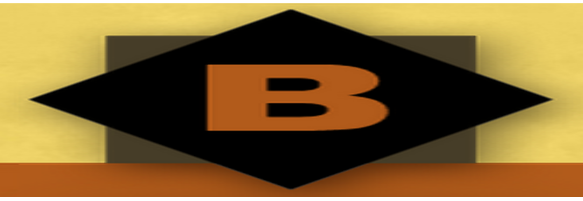 Lee R Boese DDS