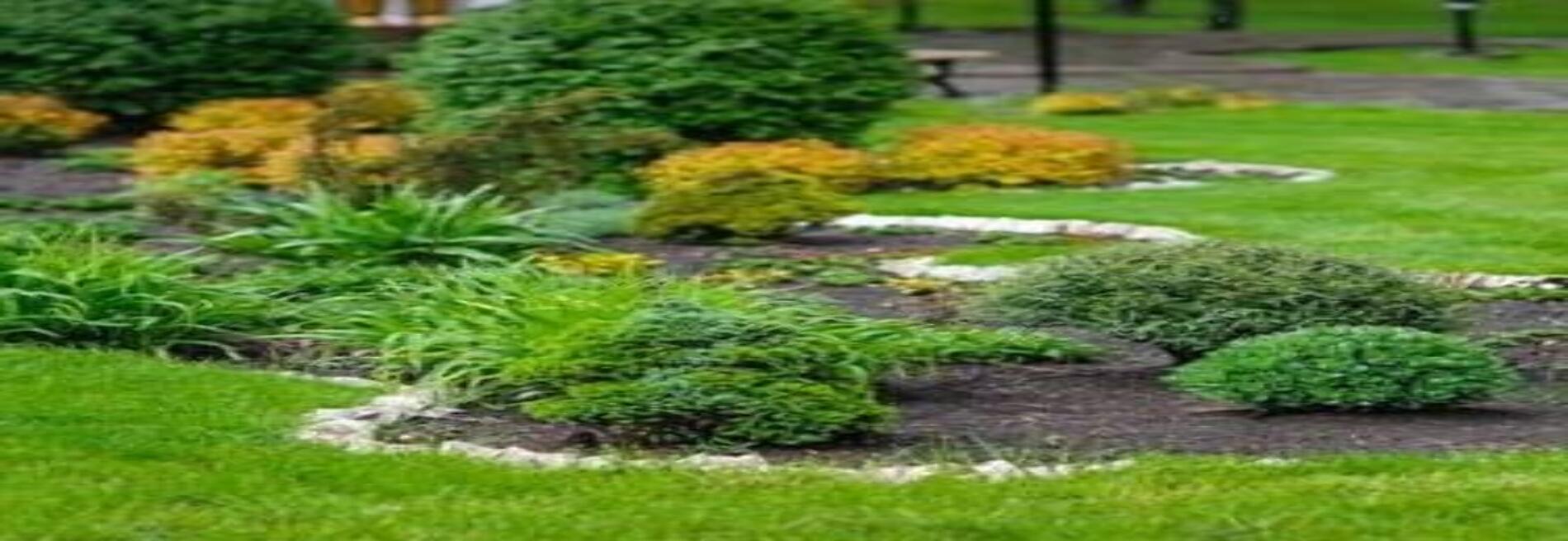 S & G Landscaping LLC
