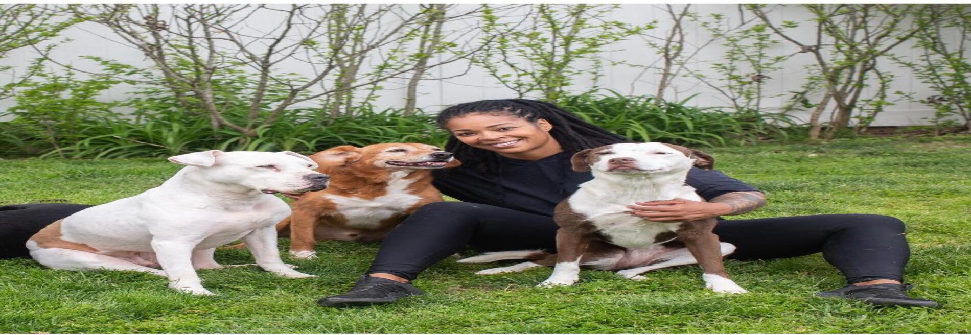 Underdog K-9 Academy
